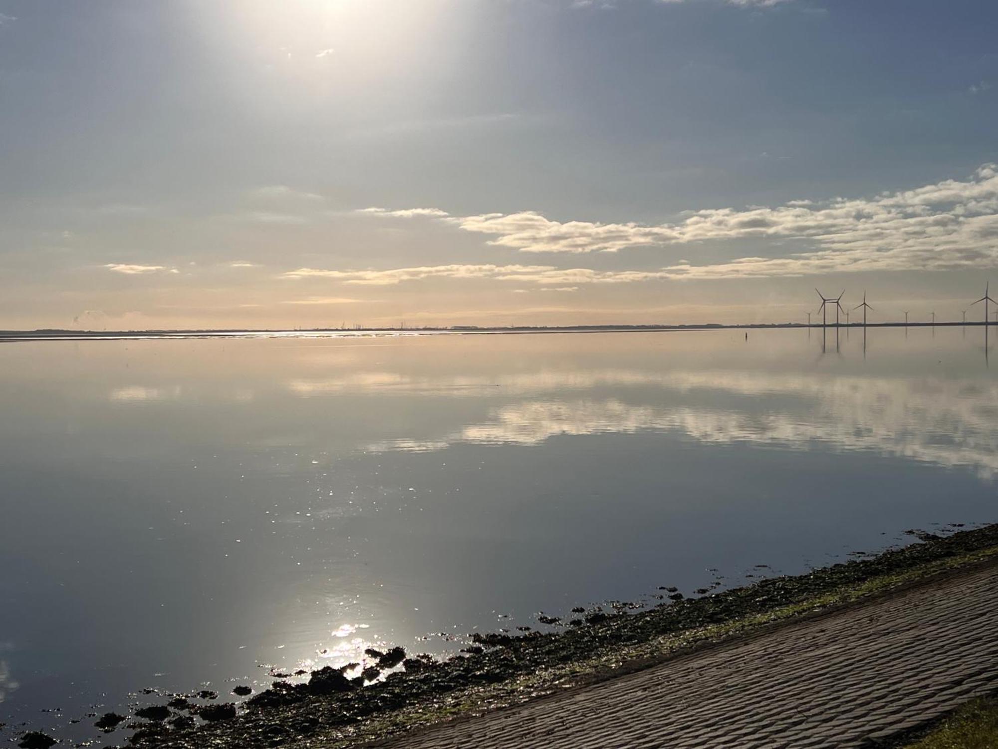 Genieten Aan De Zeeuwse Kust Panzió Burgh-Haamstede Kültér fotó