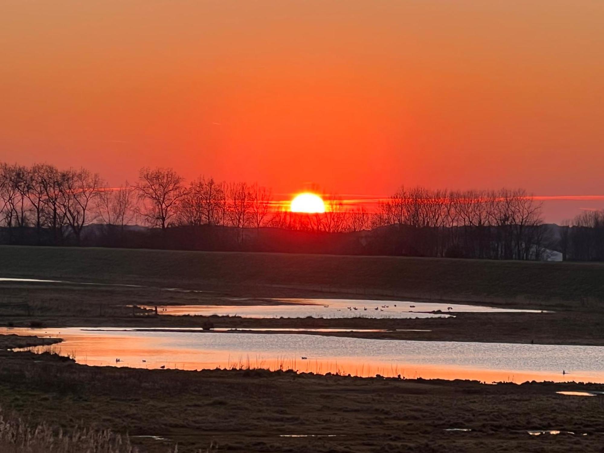 Genieten Aan De Zeeuwse Kust Panzió Burgh-Haamstede Kültér fotó